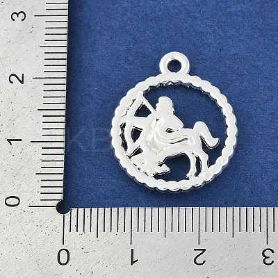 Twelve Constellations Alloy Pendants LS-PALLOY-Q006-01D-S-1