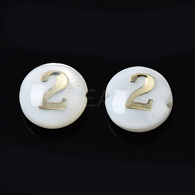 Natural Freshwater Shell Beads SHEL-N003-20-02-1