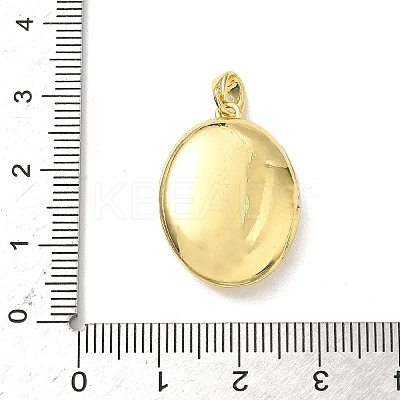 Brass Micro Pave Clear Cubic Zirconia Locket Pendants X-KK-F905-03G-1