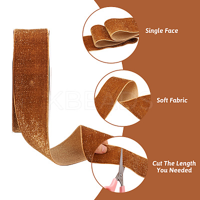 9M Sparkle Single Face Velvet Ribbon OCOR-TAC0034-05C-1
