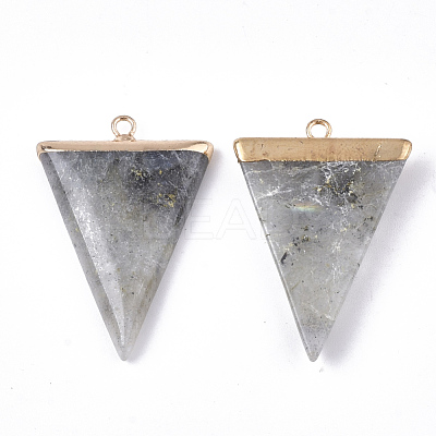 Electroplate Natural Labradorite Pendants X-G-S344-49D-1