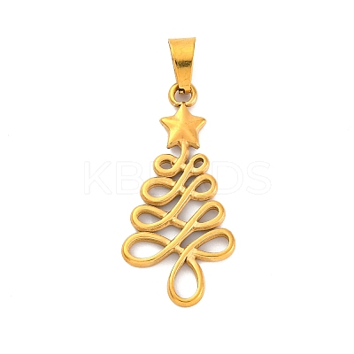 304 Stainless Steel Pendants STAS-P209-45G-1