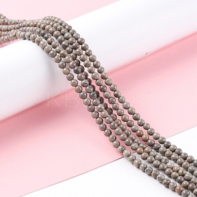 Natural Silver Line Jasper Beads Strands G-P451-03C-A-1