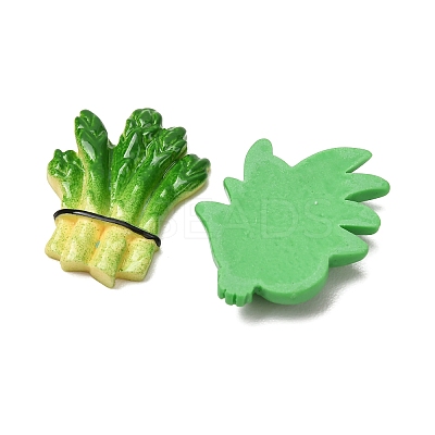 Opaque Resin Imitation Vegetable Cabochons RE-CBAE980-10-1