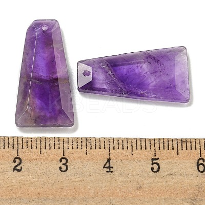 Natural Amethyst Pendants G-G123-02G-1