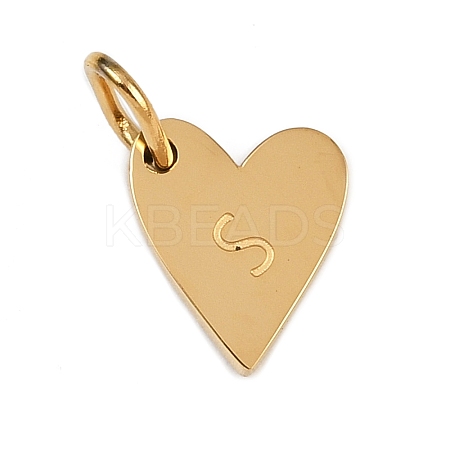 304 Stainless Steel Charms STAS-L291-01G-S-1