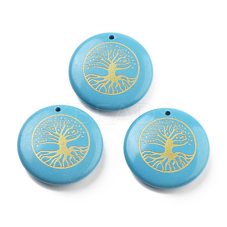 Dyed Synthetic Turquoise Carved Pendants G-H007-06H-1