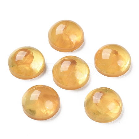 Translucent Resin Cabochons RESI-XCP0002-04-1