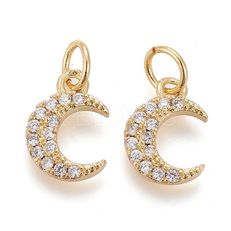 Brass Micro Pave Clear Cubic Zirconia Charms LS-ZIRC-Z005-01A-1