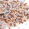 Glass Seed Beads SEED-K010-03B-1