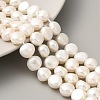 Natural Cultured Freshwater Pearl Beads Strands PEAR-A006-09I-X-1