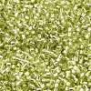 Glass Seed Beads X-SEED-S042-04B-24-3