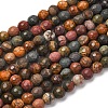 Natural Polychrome Jasper/Picasso Stone/Picasso Jasper Beads Strands G-E571-25A-2