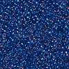TOHO 11/0 Round Beads X-SEED-TR11-0189-2
