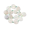 Natural Striped Agate/Banded Agate Coin Beads Strands G-NH0040-01A-4