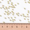 MIYUKI Round Rocailles Beads X-SEED-G008-RR0578-2