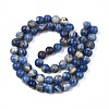 Natural Sodalite Beads Strands G-S279-10-6mm-3