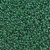 MIYUKI Round Rocailles Beads X-SEED-G007-RR0173-3