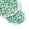 Picasso Glass Seed Beads SEED-N010-01O-1