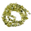 Natural Jade Chip Beads Strands X-G-B160-B02-3