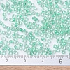 MIYUKI Round Rocailles Beads SEED-JP0008-RR0219-4