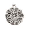 Tibetan Style Alloy Pendants LS-PALLOY-B008-09AS-1