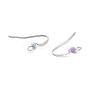 316 Surgical Stainless Steel Earring Hooks X-STAS-E044-02P-3