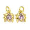 Rack Plating Brass Micro Pave Cubic Zirconia Spider Charms ZIRC-I065-02G-1