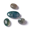Natural Moss Agate Beads G-O188-05-2