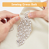 2Pcs Alloy with Rhinestone Sewing Decorate DIY-FH0006-82S-3