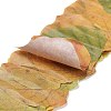 Paper Fallen Leaves Sticker Rolls DIY-C080-01G-2