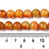 Dyed Natural White Jade Beads Strands G-T138-10mm-210-25-5
