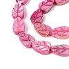 Natural Freshwater Shell Carved Beads Strands SHEL-N038-25E-3