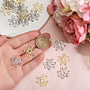 20Pcs 2 Colors Zinc Alloy Pendants FIND-CA0010-28-3