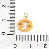 316 Stainless Steel Micro Pave Cubic Zirconia Pendants LS-STAS-K284-01D-G-3