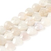 Natural Rainbow Moonstone Beads Strands G-G118-A01-01-2
