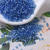 MIYUKI Delica Beads Small SEED-X0054-DBS0177-1