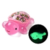 Luminous Cute Transparent Printed Resin Decoden Cabochons RESI-B026-01B-04-1