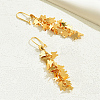 Butterfly Tassel Earrings Fashionable High-end Ear Hooks Women's Accessories XW7141-1