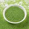 MIYUKI Round Rocailles Beads SEED-JP0010-RR3739-3