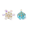 Glass & Seed Beads Pendants PALLOY-MZ00648-2