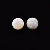 Natural Trochid Shell/Trochus Shell Beads SSHEL-T014-29B-2