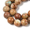 Dyed Natural Regalite/Imperial Jasper/Sea Sediment Jasper Beads Strands G-B124-C03-11-2