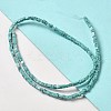 Synthetic Turquoise Beads Strands G-B064-A45-2
