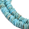 Dyed Natural Magnesite Beads Strands G-V003-01-4