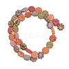 Painted Glass Beads Strands X-GLAA-F133-07B-2