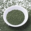 MIYUKI Delica Beads SEED-X0054-DB1135-2