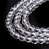 Transparent Glass Beads Strands LS-GLAA-H021-04-29-5