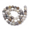 Natural Bamboo Leaf Agate Beads Strands G-T106-027-3