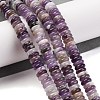 Natural Amethyst Beads Strands G-G084-A12-01-2